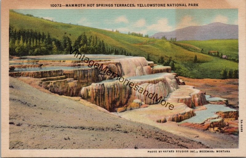 Mammoth Hot Springs Terraces Yellowstone National Park Postcard PC355