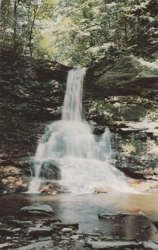 Pulpit Falls on Kitchen Creek - Ricketts Glen State Park PA, Pennsylvania