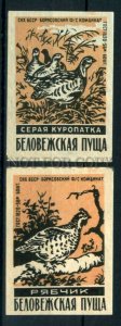 500645 USSR BELARUS birds Bialowieza Forest Old match labels