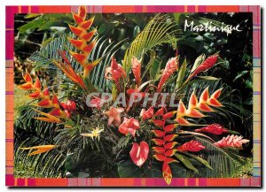 Modern Postcard Martinique Tropical Flowers