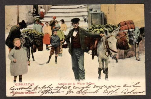 Artichokes Water Sellers Donkey 1906 GIBRALTAR Postcard