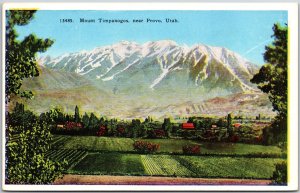 Mount Timpanogos near Provo Utah UT Garden on Foot of Mountains Postcard