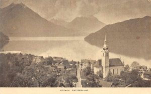 Vitznau Switzerland Birds Eyes View Vintage Postcard AA70158