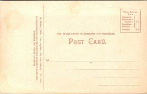 Postcard Packing Oranges in California~139765