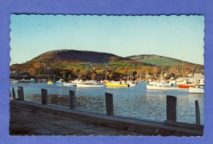 Camden, Maine/ME Postcard, Autumn View Of Boats In Harbor & Mountains