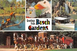 Los Angeles, California - Busch Gardens