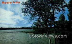 Moose Lake, MN, Moose Lake, Minnesota Postcard