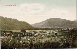 Revelstoke British Columbia Birdseye Unused Private Postcard H27