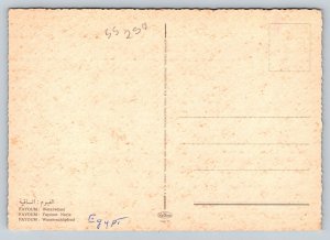 Waterwheel on Nile River   Egypt  Postcard