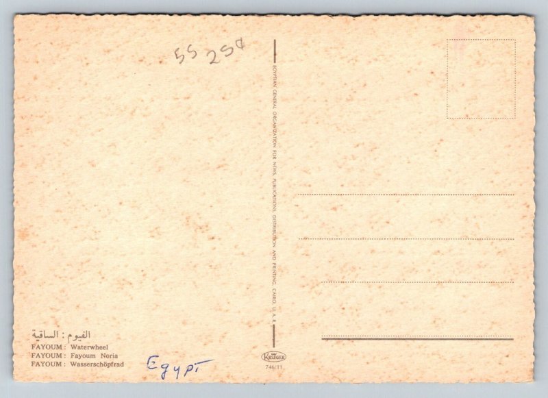 Waterwheel on Nile River   Egypt  Postcard