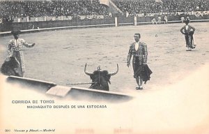 Machaquito Despues de una Estocada Corrida de Toros Spain Unused 