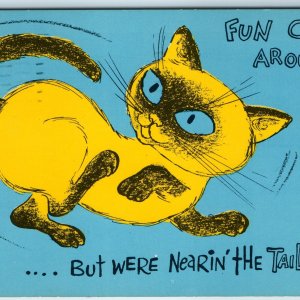 c1970s Bancroft, IA Cute Comic Cat Art Drawing Fun Chasin Tail Around PC A237