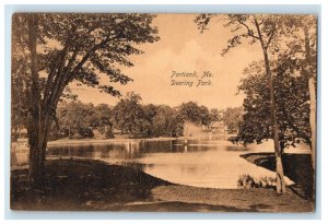 1920 River and Trees in Deering Park Portland Maine ME Posted Postcard 