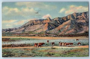 Albuquerque New Mexico Postcard Sandia Peak Needle Mountains Lake c1940 Vintage