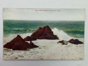 Seal Rocks San Francisco CA California Ocean Vintage Postcard c1910