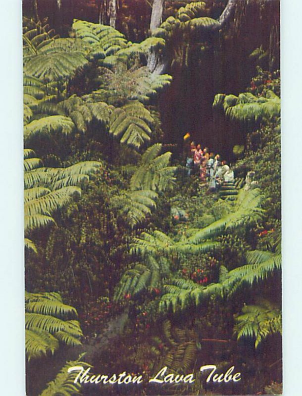 Pre-1980 NATURE SCENE Volcanoes National Park Hawaii HI AD3820