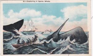 Fishing Capturing A Sperm Whale 1931 Bedford Massachusetts