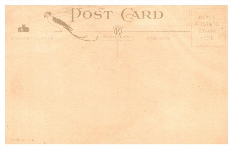 10952  Birthday   Flag, field