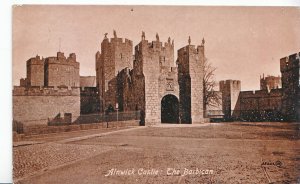 Northumberland Postcard - Alnwick Castle - The Barbican     R653