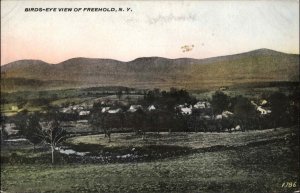 Freehold New York NY Birdseye View c1910 Postcard