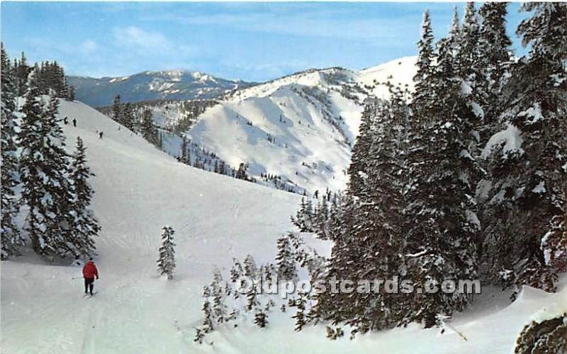 Hurricane Ridge Ski Area Olympic National Park, Washington, WA, USA Skiing Un...