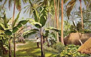 fiji islands, Native Village Scene (1910s) Tuck Oilette