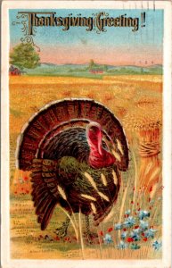 Thanksgiving Day Greetings Postcard Turkey in a Field of Wheat and Flowers