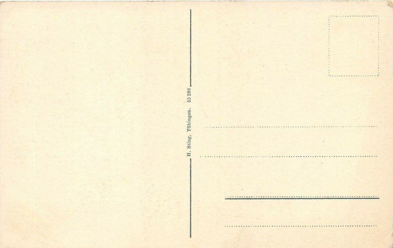 Bad Rippoldsau-Schapbach Germany c1910 Postcard Klosterle Hof