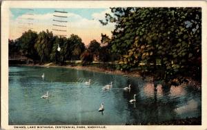 Swans, Lake Watauga, Centennial Park Nashville TN c1927 Vintage Postcard O15