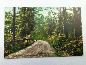 Vintage Postcard 1912 Cottage Grove Congamond Lake Southwick MA Massachusetts