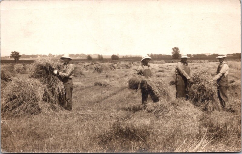 Real Photo Postcard Farming Scene Men Working Farming Hay in a Field