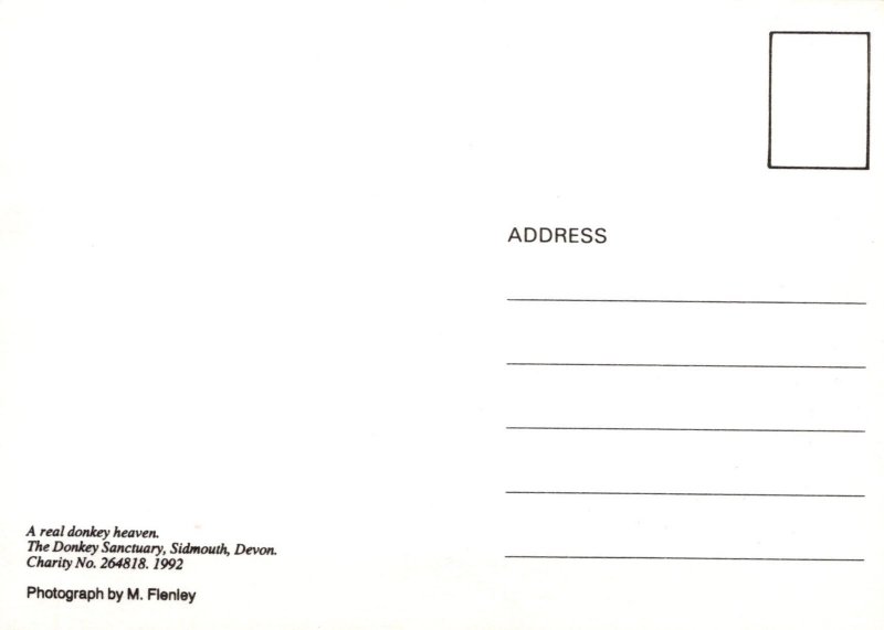 Animals Postcard - The Donkey Sanctuary, Sidmouth, Devon  SW18095