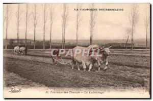 Old Postcard Folklore Plowing Oxen Plowing Bourbon Country