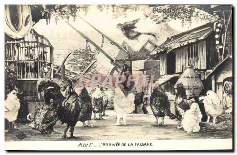 Old Postcard Theater Rostand Chantecler Coq L & # 39arrivee of pheasant