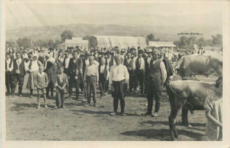 Photo postcard agricultural market fair mary go round cows ethnic types folk