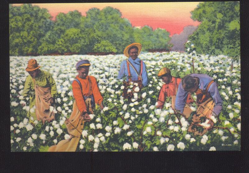 BLACK AMERICANA BLACK COTTON FARM FIELD FARMING VINTAGE POSTCARD