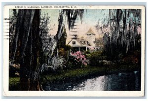 Charleston South Carolina Postcard Scene Magnolia Gardens c1925 Vintage Antique