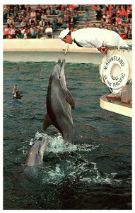 Lot 10 Marineland of the Pacific Palos Verdes, California Vintage Postcard