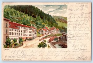 Bad Wildbad Baden-Württemberg Germany Postcard Olgastrasse 1899 Antique