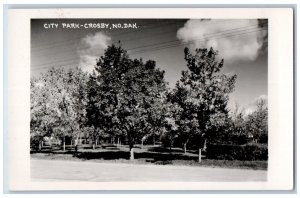 Crosby North Dakota ND Postcard Trees at City Park c1940's RPPC Photo Vintage