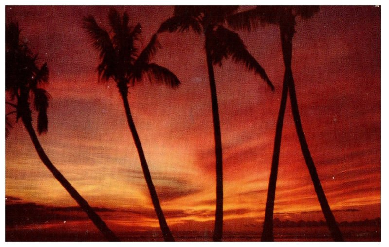 Sunset at Waikiki Hawaii Postcard 