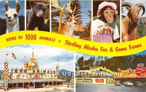 Home of 1000 Animals - Ausable Chasm, New York NY Postcard