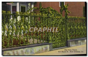 Old Postcard The Corn Fence Royal New Orleans