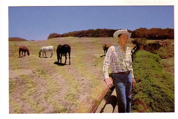 President Ronald Reagan in Cowboy Hat at California Ranch, Horses, Photo Mich...