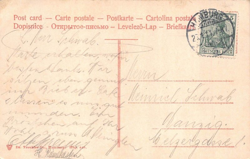 A169 Germany 1911 Hamburg Partie Botanic Garden Forest vintage postcard