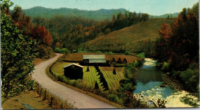 FARM SCENE - MAINE ME - VINTAGE POSTED - POSTCARD 