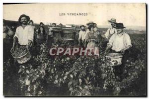 Postcard Old Wine Harvest TOP