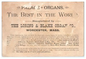 Birds, Palace Organs, AL Bailey, St. Johnsbury, VT Victorian Trade Card *VT19