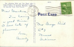 Vtg 1940s Van Bragt Tulip Fields Holland Michigan MI Linen Postcard