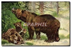 Postcard Old Bear